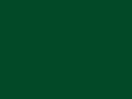 U7191 - Ever Green.jpg